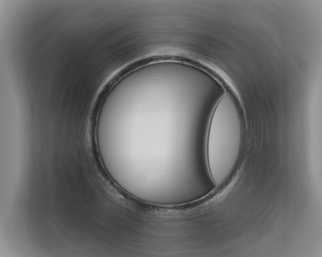 X0000110700783200906121035
