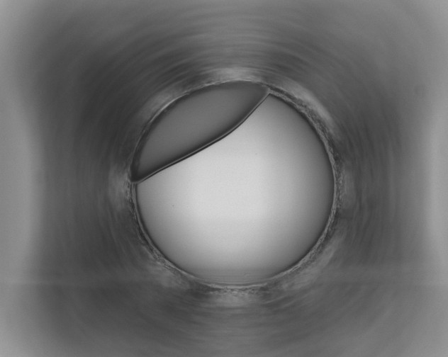 X0000110700785200906121035