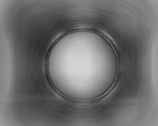 X0000110700786200906121035