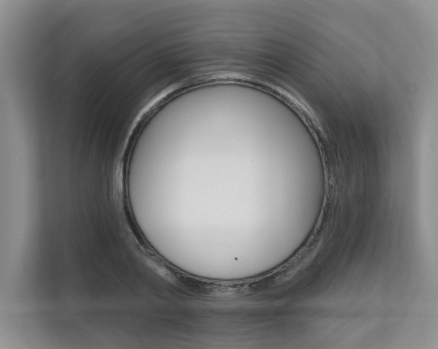 X0000110700790200906121035