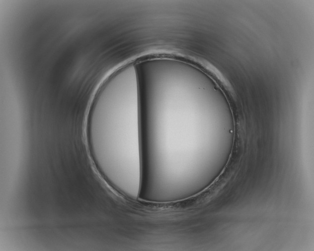 X0000110700791200906121035
