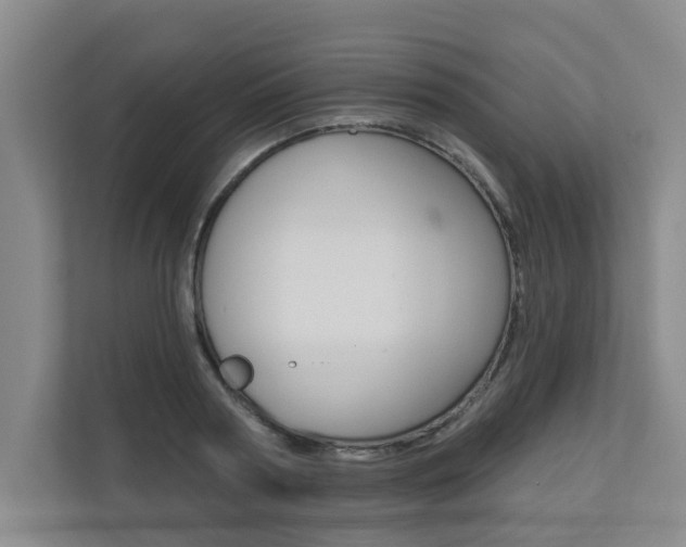X0000110700794200906121035