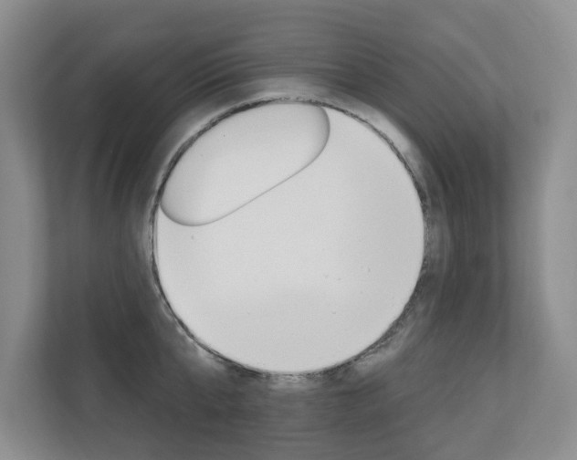 X0000110700807200906121035
