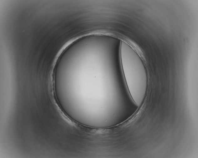 X0000110700808200906121034