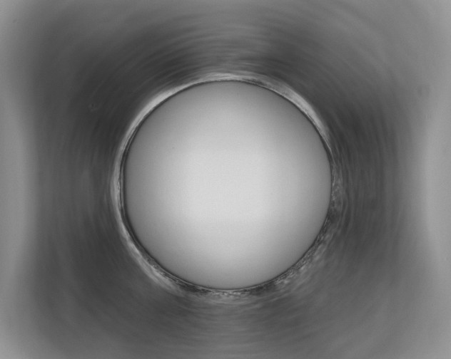 X0000110700811200906121034