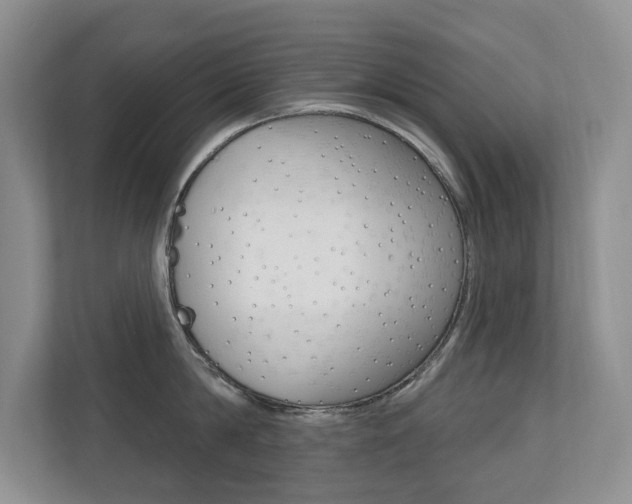 X0000110700814200906121034