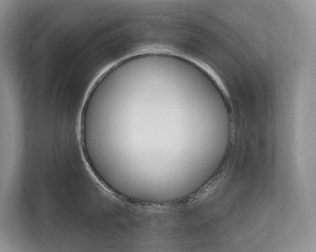 X0000110700815200906121034