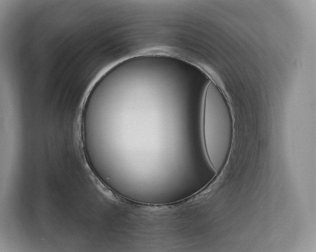 X0000110700816200906121034