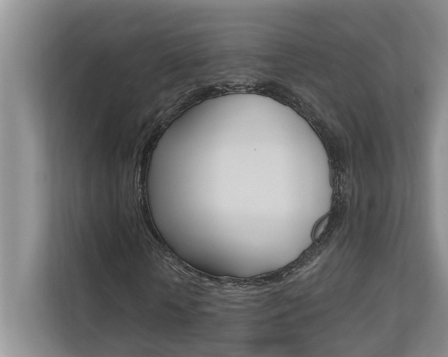 X0000110700818200906121034
