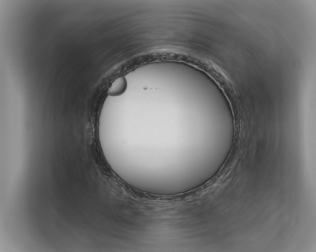 X0000110700821200906121034