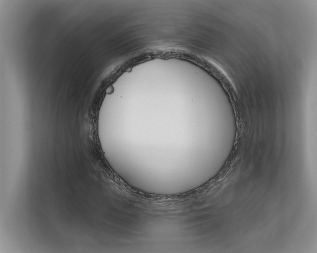 X0000110700823200906121034