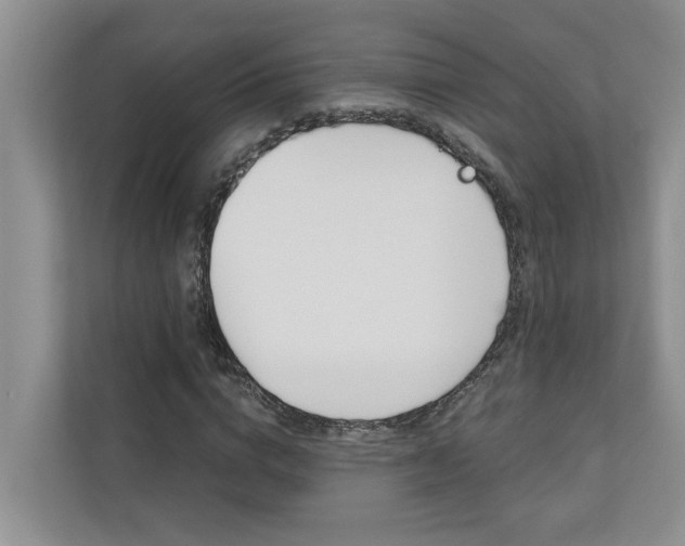 X0000110700824200906121034