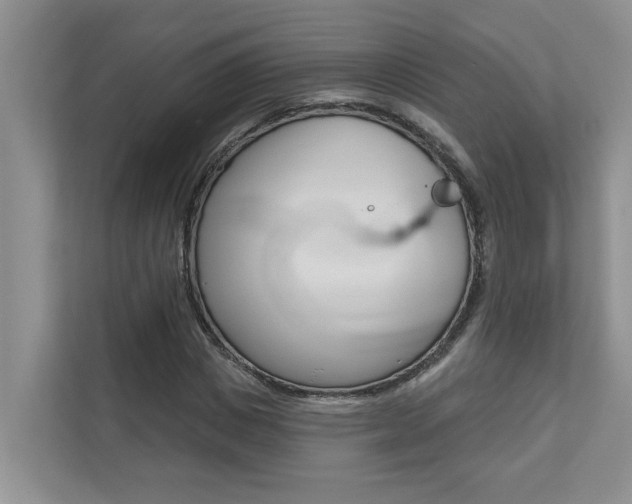X0000110700825200906121034