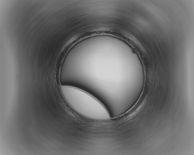 X0000110700826200906121034