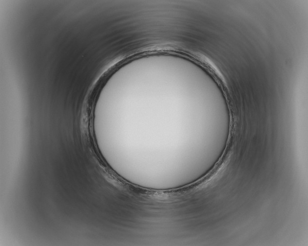 X0000110700827200906121034