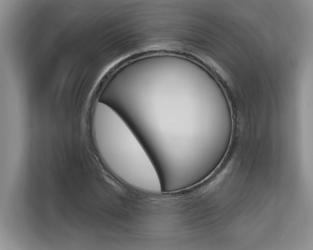 X0000110700830200906121034
