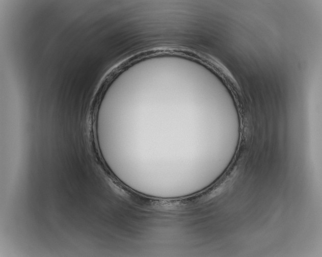 X0000110700831200906121034