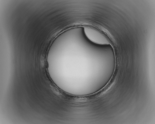X0000110700833200906121034