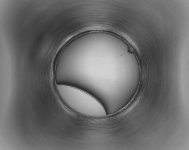 X0000110700837200906121034