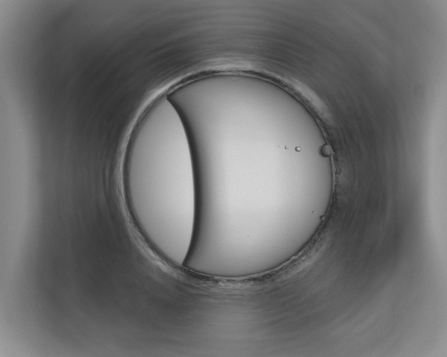 X0000110700840200906121034