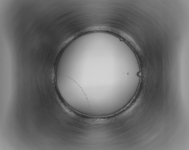 X0000110700841200906121034