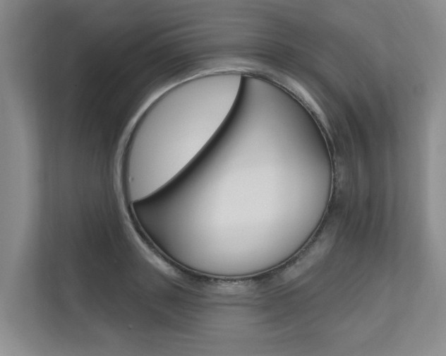 X0000110700843200906121034
