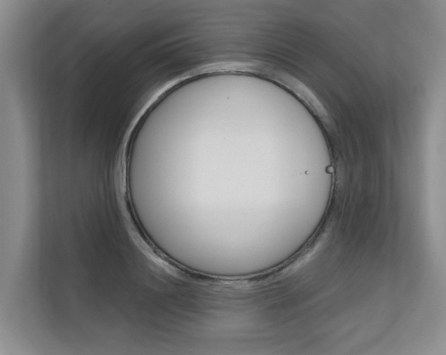X0000110700844200906121034