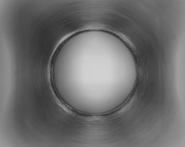 X0000110700846200906121034