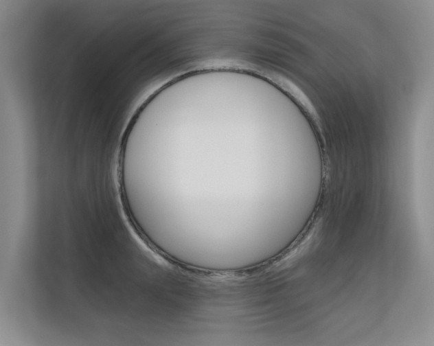 X0000110700847200906121034