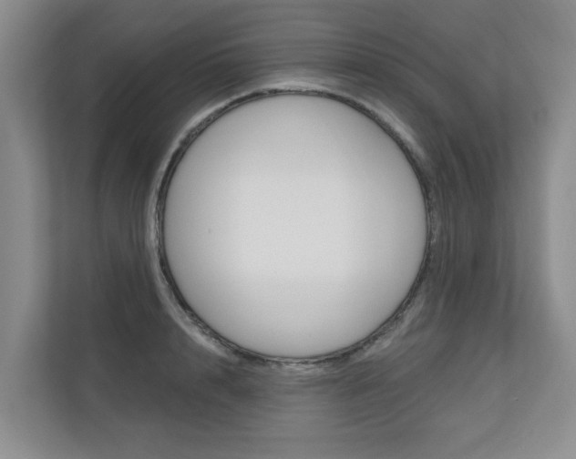 X0000110700848200906121034