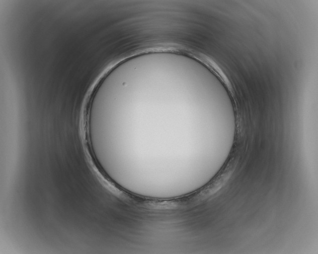 X0000110700851200906121034