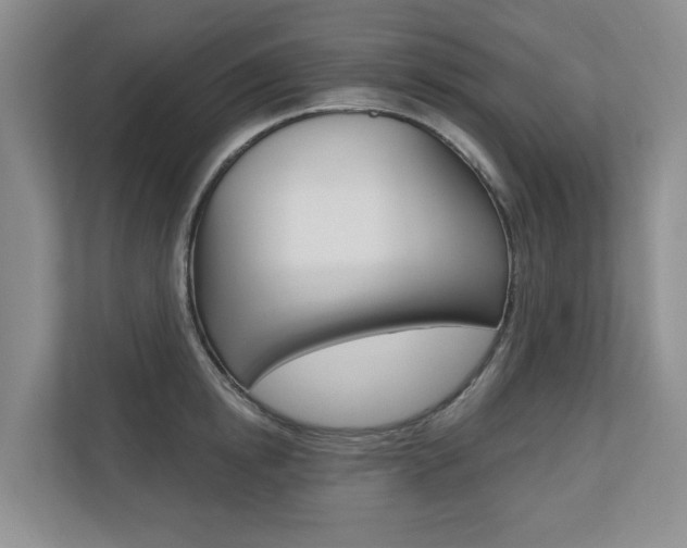X0000110700854200906121034