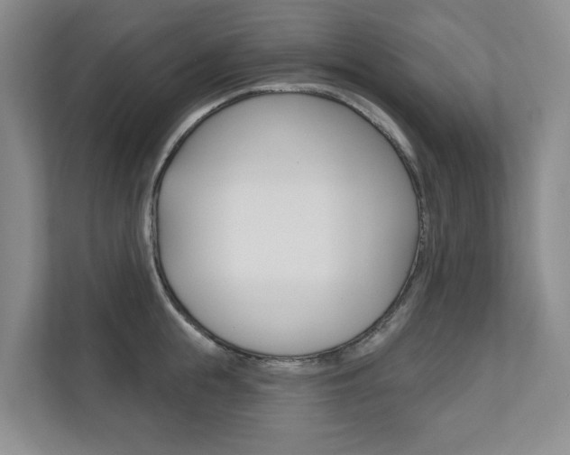 X0000110700855200906121034