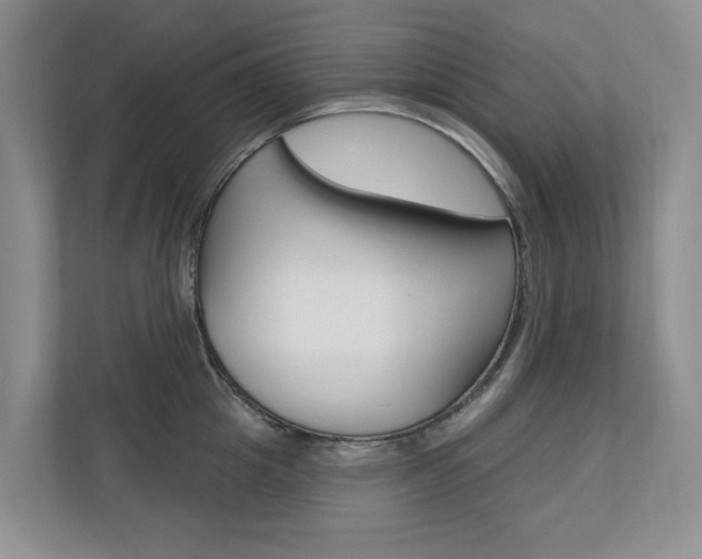 X0000110700857200906121034