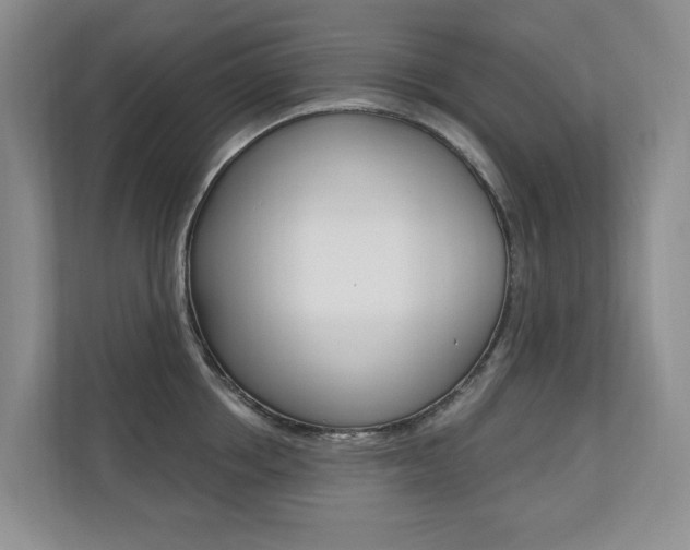 X0000110700858200906121034