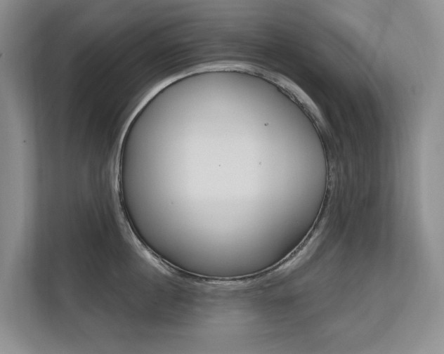 X0000110700860200906121034
