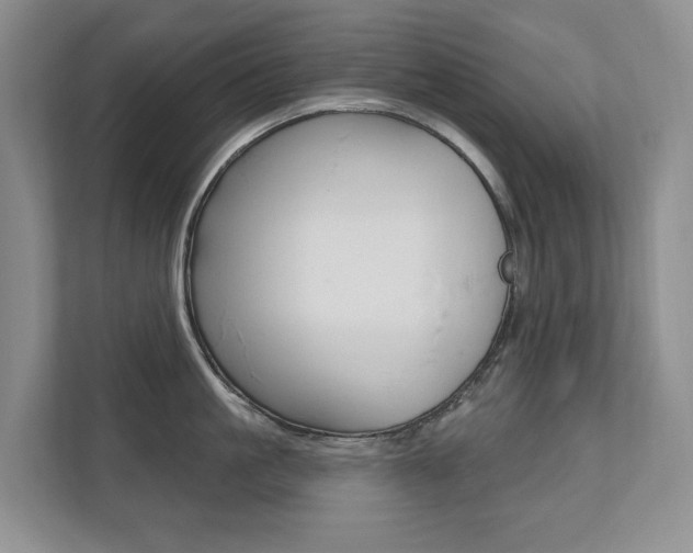 X0000110700861200906121034