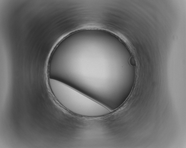 X0000110700864200906121034