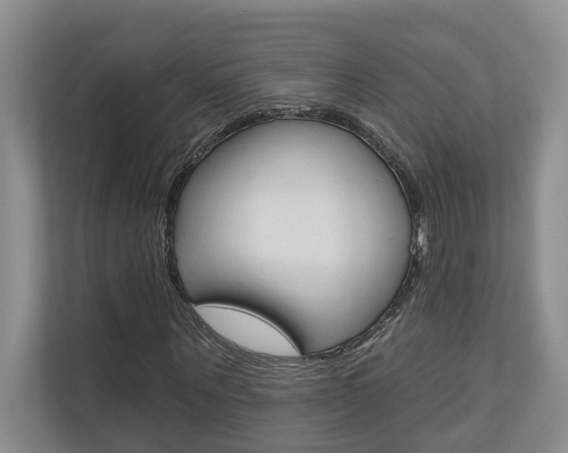 X0000110700867200906121034