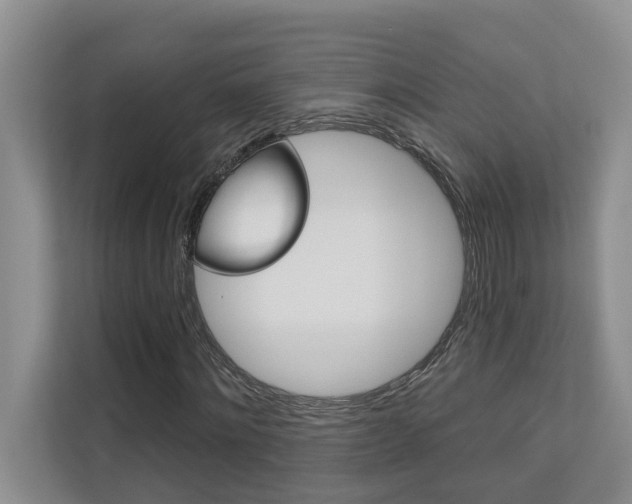 X0000110700868200906121034