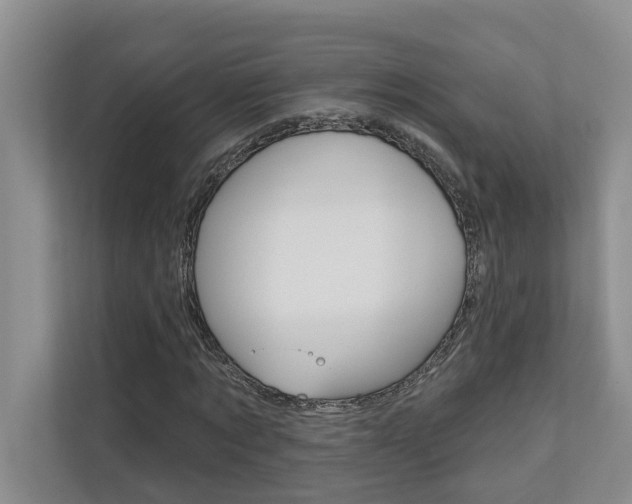 X0000110700869200906121034