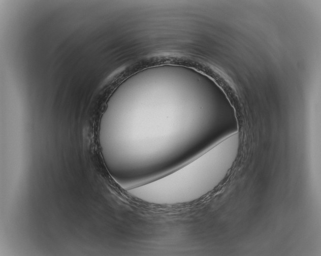 X0000110700872200906121034