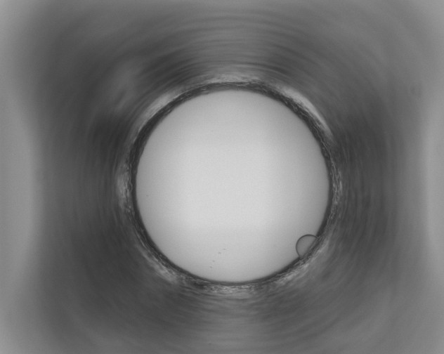 X0000110700874200906121034