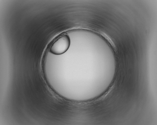 X0000110700876200906121034