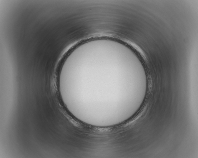 X0000110700878200906121034