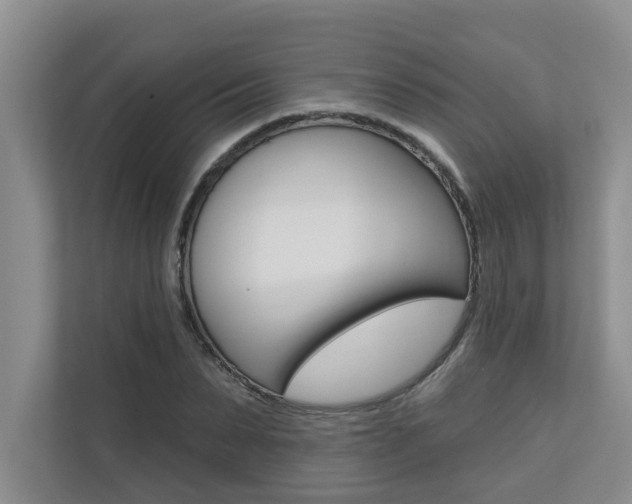 X0000110700879200906121034