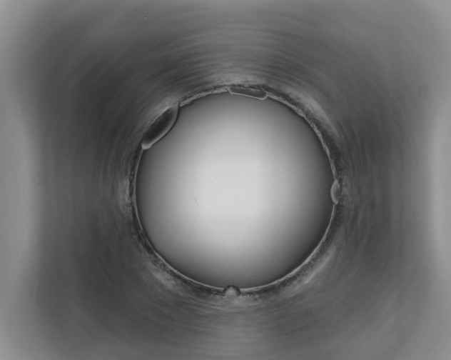 X0000110700881200906121034