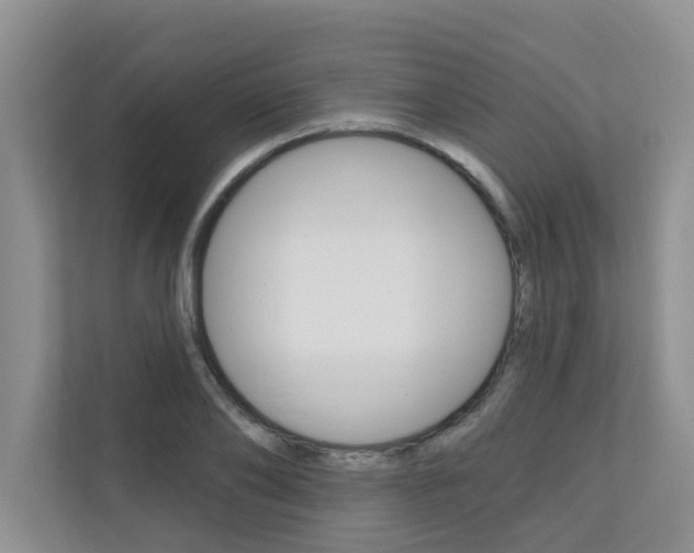 X0000110700886200906121033