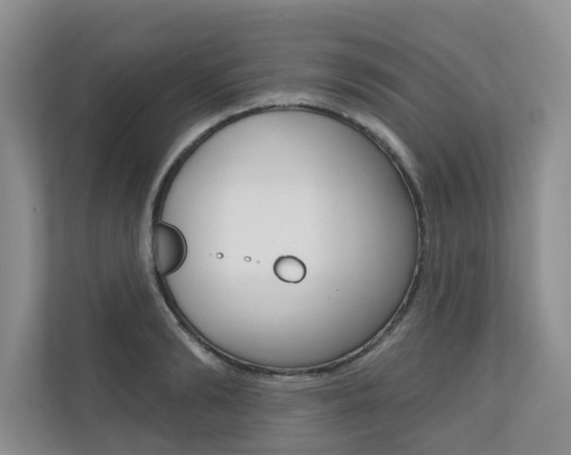 X0000110700894200906121033