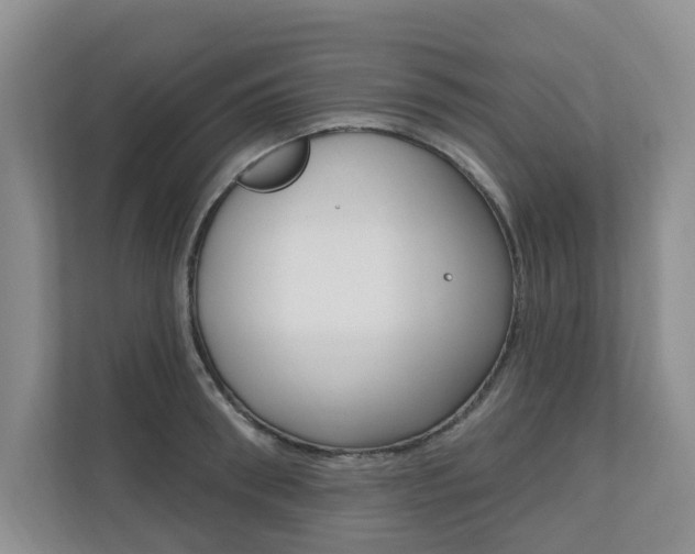 X0000110700898200906121033